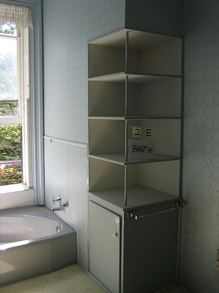 Oval tub and plywood shelvies