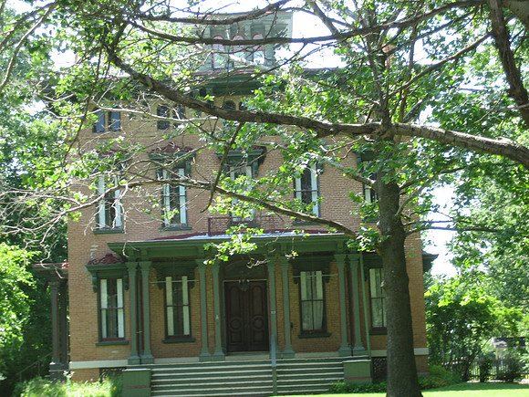 Trees (June 2009)